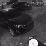 Merab Dvalishvili Instagram – Your house should be a safe place. I didn’t lock my car door last night and some losers were checking cardoors in my neighborhood. They stole my wallet. They came back to try and steal the car but my neighbor yelled to them and they ran like Pu$$ies! Vegas people .. if you recognize anybody in these pics/video .. let me know. I will go to their house and take care of business 🦾 #karmawillgetthem IF I DONT FIRST ! Las Vegas, Nevada