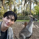 Metawin Opas-iamkajorn Instagram - All about kangaroos 🦘