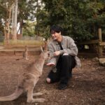 Metawin Opas-iamkajorn Instagram - All about kangaroos 🦘