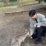 Metawin Opas-iamkajorn Instagram - All about kangaroos 🦘