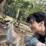 Metawin Opas-iamkajorn Instagram - All about kangaroos 🦘