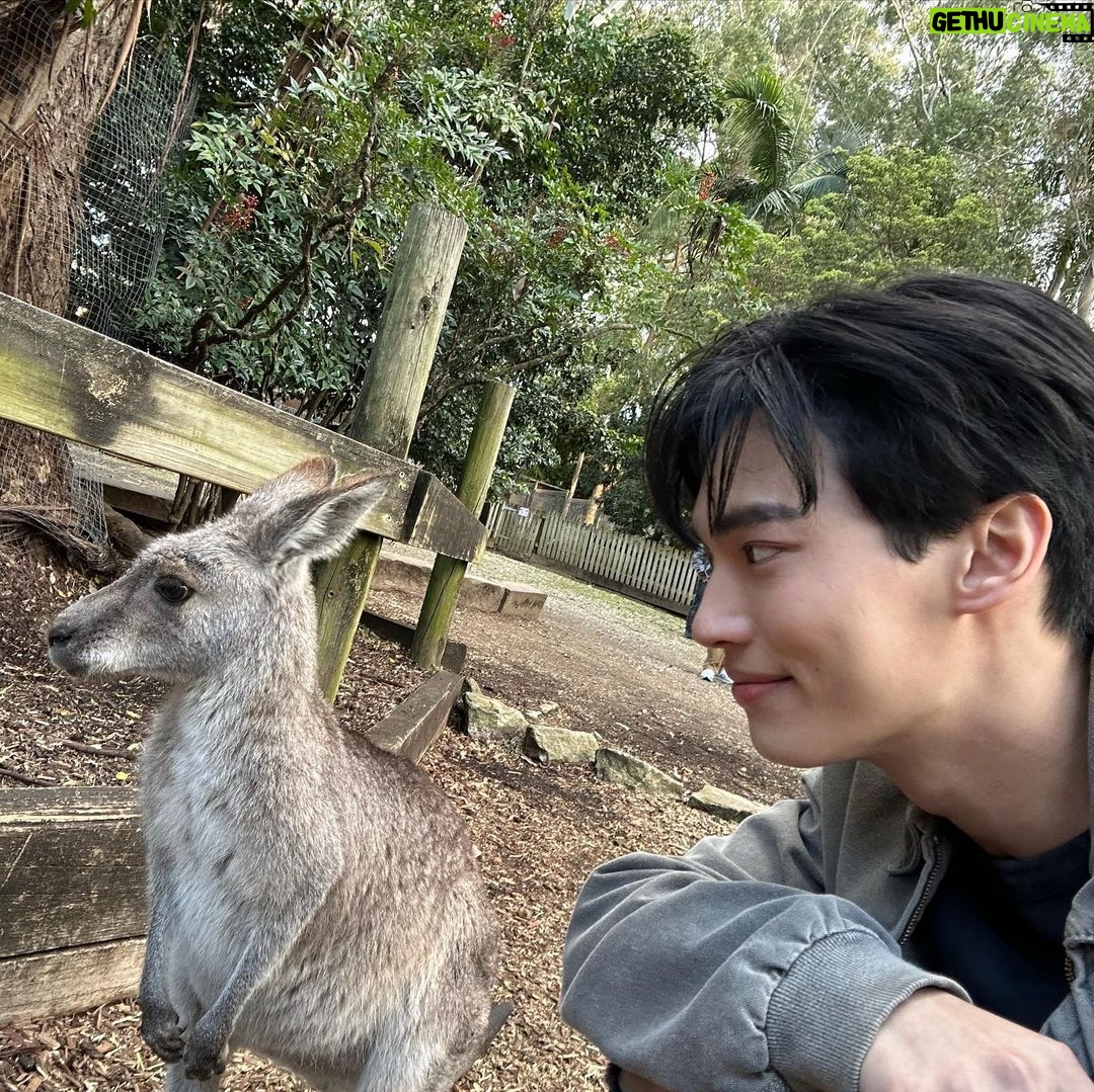 Metawin Opas-iamkajorn Instagram - All about kangaroos 🦘