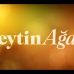 Metehan Parıltı Instagram - Konuk oyuncu olarak rol aldığımız #zeytinağacı 28 Temmuz'da @netflixturkiye de! Emeği geçen herkese teşekkürler 🤍 @burcu.alptekin @gulaysay @utkucubukcuoglu @layla_sirin_ajans @derin__alya #zeytinağacı #cemil #metehanparıltı