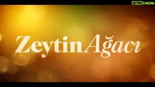 Metehan Parıltı Instagram - Konuk oyuncu olarak rol aldığımız #zeytinağacı 28 Temmuz'da @netflixturkiye de! Emeği geçen herkese teşekkürler 🤍 @burcu.alptekin @gulaysay @utkucubukcuoglu @layla_sirin_ajans @derin__alya #zeytinağacı #cemil #metehanparıltı