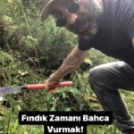 Metin Yıldız Instagram - Bahca Vurmak #fındık #fındıkzamanı #fındıkvakti #bahçe #orak #bıçkı #girebi #ordu #fatsa #ılıca #sarmaşıkköyü #kesfet #keşfetteyiz #kesfet #instagram #instagood #köy#