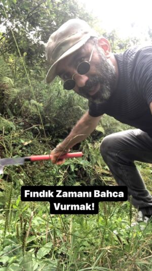 Metin Yıldız Instagram - Bahca Vurmak #fındık #fındıkzamanı #fındıkvakti #bahçe #orak #bıçkı #girebi #ordu #fatsa #ılıca #sarmaşıkköyü #kesfet #keşfetteyiz #kesfet #instagram #instagood #köy#
