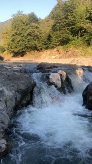 Metin Yıldız Instagram - Fatsa Ilıca ırmağı çocukluk anıları ve bizim insanlarımız ⭐️