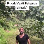 Metin Yıldız Instagram - Fındık Vakti Fatsa'da Olmak 😅😅 📍Ordu Fatsa 🚩 Ordu’ya dair ne varsa hepsi burda! 🟠 Sizde Aramıza Katılmak için 👉🏻 @sehir52 🎯 Öneri, şikayet, iletişim için DM. 📢 Ordu’ya dair birçok formata sahip sayfamızda daha fazlası için takip edin, profilimizi inceleyiniz... ➖➖➖➖➖➖➖➖➖➖➖➖➖➖➖ #sehir52 #karadeniz #ordu #akkuş #altınordu #aybastı #çamaş #çatalpınar #çaybaşı #fatsa #gölköy #gülyalı #gürgentepe #ikizce #kabadüz #kabataş #korgan #kumru #mesudiye #perşembe #ulubey #ünye Fatsa, Ordu