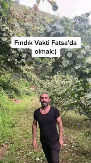 Metin Yıldız Instagram - Fındık Vakti Fatsa'da Olmak 😅😅
📍Ordu Fatsa 
🚩 Ordu’ya dair ne varsa hepsi burda!
🟠 Sizde Aramıza Katılmak için 👉🏻 @sehir52
🎯 Öneri, şikayet, iletişim için DM.
📢 Ordu’ya dair birçok formata sahip sayfamızda daha fazlası için takip edin, profilimizi inceleyiniz...
➖➖➖➖➖➖➖➖➖➖➖➖➖➖➖
#sehir52 #karadeniz #ordu #akkuş #altınordu #aybastı #çamaş #çatalpınar #çaybaşı #fatsa #gölköy #gülyalı #gürgentepe #ikizce #kabadüz #kabataş #korgan #kumru #mesudiye #perşembe #ulubey #ünye