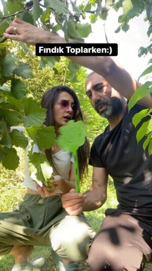 Metin Yıldız Instagram - Fındık Toplamak zor Arkadaş:) #fındık #fındıkzamanı #domuz #bahçe #fatsa #ordu #karadeniz #keşfet #keşfetteyiz #ılıca #sarmaşık # komik #mizah #şaka