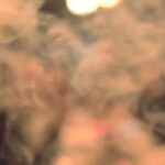 Metin Yıldız Instagram - @cigarclubistanbul Değerli üstadım @onurtmrx üstün organizasyon yeteneği ile Puro sevenleri bir araya getirirmeye devam ediyordu ve dostluklar daha pekişiyordu.. sonsuz teşekkürler🌟👏🌟