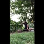 Metin Yıldız Instagram - Taze fasulyenin yolculuğu:) FATSA ILICA SARMAŞIK MAHALLESİ