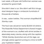 Mia Freedman Instagram - How did we get here? Last week, a 23-year-old Californian woman was arrested for grand theft. She didn’t steal a car. She didn’t sell illicit drugs, steal designer bags or embezzle hundreds of thousands of dollars. It was… water bottles. The woman shoplifted 65 Stanley cups. Read the full story at the link in my bio. #stanleycup #waterbottle