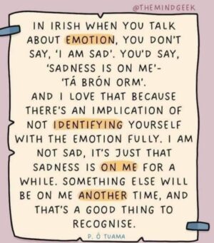 Mia Freedman Instagram - I think this is lovely. ❤️❤️ Via @irish_thingsx