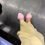 Mia Healey Instagram - 888 NYC, NY