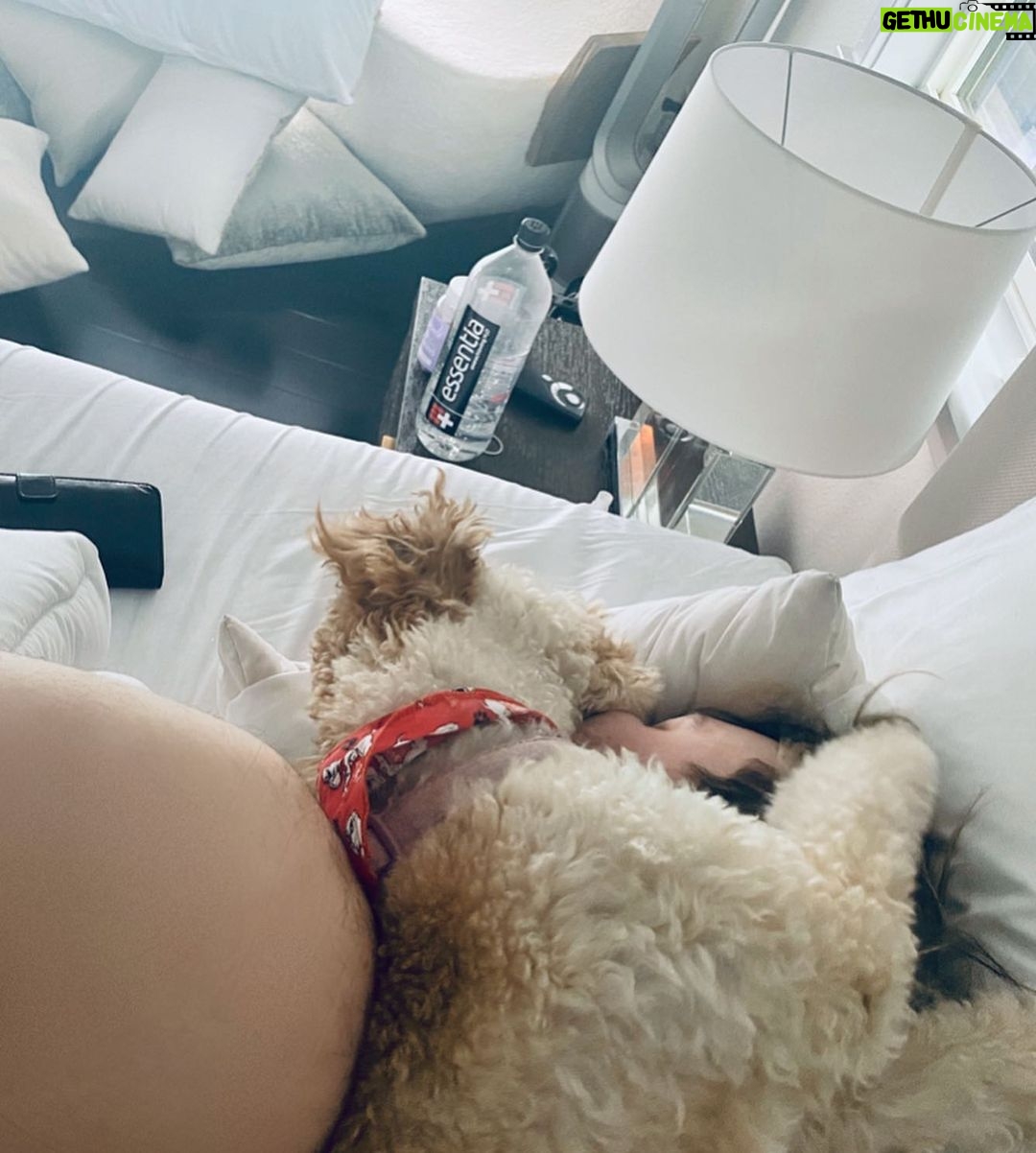 Michael Clifford Instagram - if you’re wondering why I’m so inactive - here’s your reason