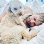 Michael Clifford Instagram - if you’re wondering why I’m so inactive - here’s your reason