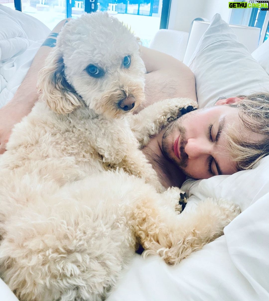 Michael Clifford Instagram - if you’re wondering why I’m so inactive - here’s your reason