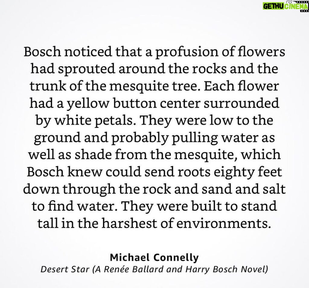 Michael Connelly Instagram - The Desert Star flower.