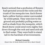 Michael Connelly Instagram - The Desert Star flower.