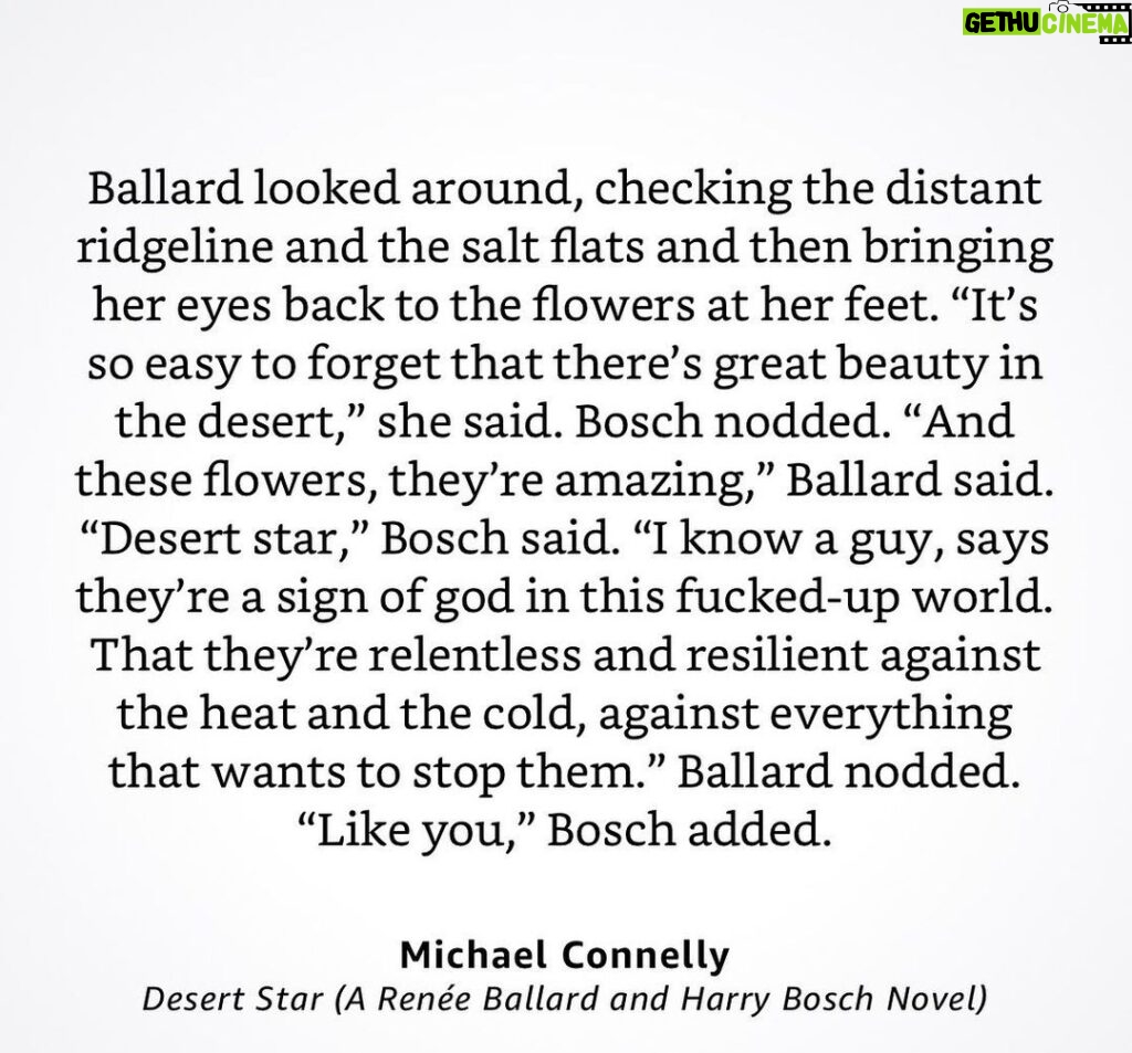 Michael Connelly Instagram - The Desert Star flower.