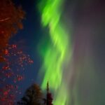 Michael Fishman Instagram - Nature is amazing