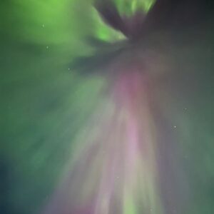 Michael Fishman Instagram - Nature is amazing