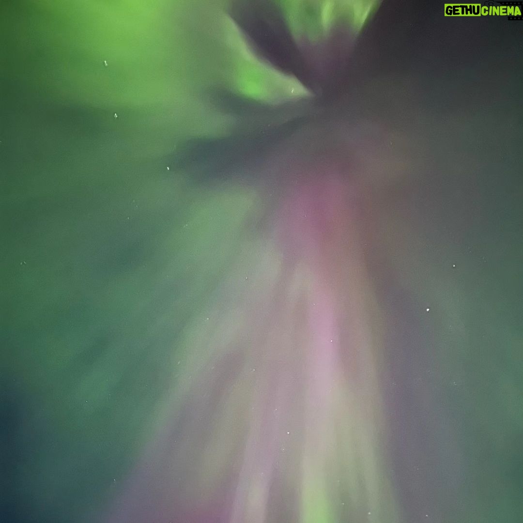Michael Fishman - 219 Likes - Nature is amazing