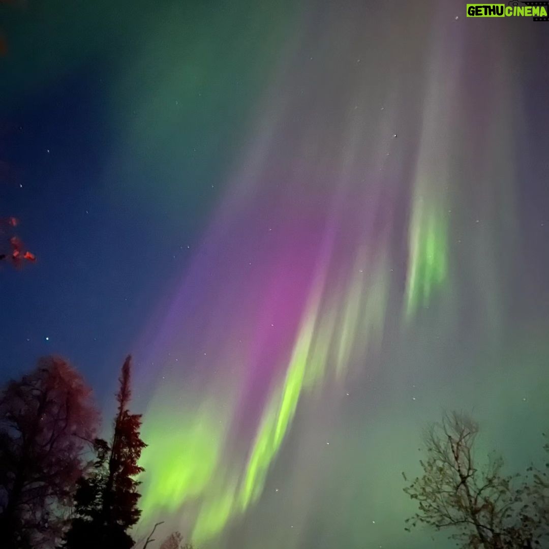 Michael Fishman - 219 Likes - Nature is amazing