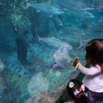 Michael Fishman Instagram - We took a quick trip down to Southern California's best Aquarium Aquarium of the Pacific