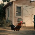 Michael Imperioli Instagram - TRAILER IS ON SLIDE TWO !!!! THIS FOOL SEASON TWO starts streaming JULy 28th on HULU! #ThisFoolHulu @thisfoolhulu @hulu @frankiequinones @chrisestradacomic