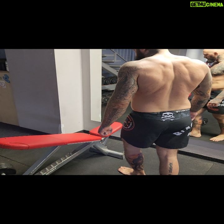 Michal Martínek - 472 Likes - 55 jednoručky v sériích. Síla se probouzí s mým trenérem @siruckamichal 💪🤝🦍🏴☠️💥