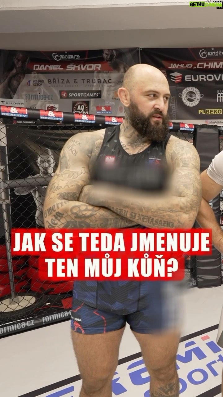Michal Martínek - 456 Likes - Vašek s Danem jsou super kluci, škoda jen že na tréninku byli Viktor s Davidem 😂👍🏻 #KSW87
Kluci, díky za super trénink! @viktorraskovsky 🤝 @david_karbas