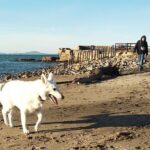 Michelangelo Fortuzzi Instagram – Italy, December 2018 Lido Di Tarquinia