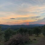 Michelangelo Fortuzzi Instagram - Home Sweet Home