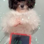 Michelle Reis Instagram - Nothing’s gonna change my ruff ❤️for you