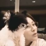 Michelle Reis Instagram - ℂ𝕦𝕣𝕚𝕠𝕦𝕤 ℙ𝕦𝕡𝕡𝕪▼・ᴥ・▼
