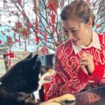 Michelle Reis Instagram - Wishing you happiness, good health and lots of luck for the Year of Tiger. #恭喜發財 #身體健康 #虎年好舒虎