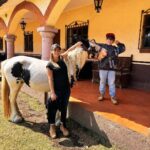 Michelle Renaud Instagram - Hoy tuvimos una constelación familiar con caballos… una experiencia padrísima!! ✨✨