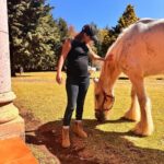 Michelle Renaud Instagram - Hoy tuvimos una constelación familiar con caballos… una experiencia padrísima!! ✨✨