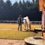 Michelle Renaud Instagram – Hoy tuvimos una constelación familiar con caballos… una experiencia padrísima!! ✨✨