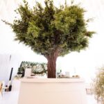Michelle Renaud Instagram - Weddding day 🤍 Catering Diseño Mesa de postres Y mucho más HAPPY WORLD MEXICO #catering #diseño #produccion#mesadepostres #cateringservice #planner #wedding #weddingday #cumpleaños #thanksgiving #christmasdecor #planner#bautizo #bodasmexico