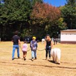 Michelle Renaud Instagram - Hoy tuvimos una constelación familiar con caballos… una experiencia padrísima!! ✨✨