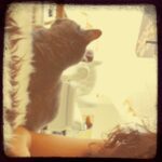 Michelle Rodriguez Instagram - I'm convinced Hemingway isn't into reading books she hasn't written herself?...