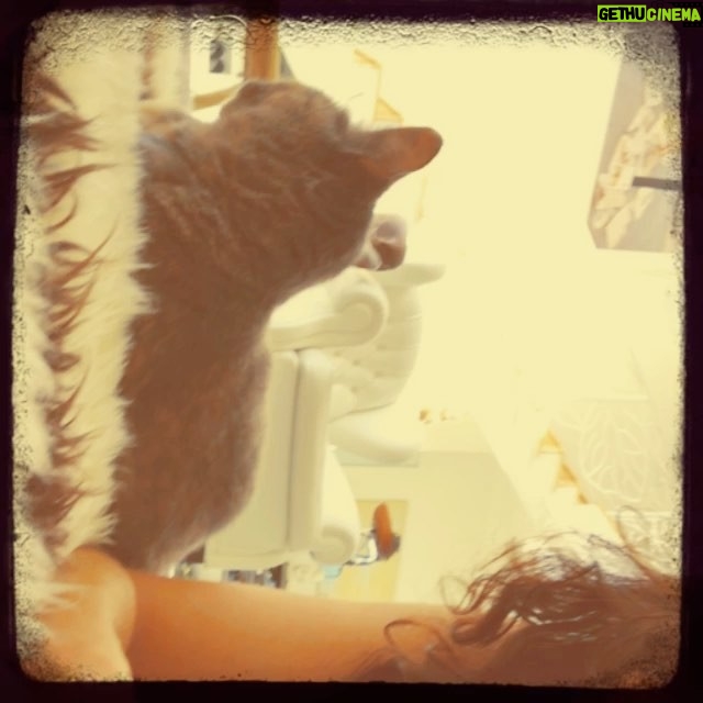 Michelle Rodriguez Instagram - I'm convinced Hemingway isn't into reading books she hasn't written herself?...