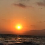 Michelle Rodriguez Instagram - Yup I think Nature is my greatest Love 🌊🌞🌬Humans & their inventions pale in comparison, the Hope left after Pandoras Box has Opened is that mankind will grow to fall in love with her too. Hopefully before he destroys himself or takes his ships to Mars... the long ago destroyed Red planet. Earth, Good ol Goldie locks...She'll shake us off like fleas before her destruction, it's the animals & the human kids I feel the most for, their like her children innocent, existing, & were destroying the environment like parasites or pigs in a pigsty. I sometimes wonder why mankind tends to think so isolated from the big picture, I guess easier that way... Less to think about... Cheaper to manage than to Evolve. I guess it helps to have a bunch of people addicted to material comforts. It sure must be overwhelming to develop scientific models for the next 20 years... I bet it'd be a lot easier if nations came together for it 🌍 oh yeah that's the summit that Potus Ditched... I wonder how embarrassed I'd feel eavesdropping on the conversations of future generations living on the dusty red deserts of Mars as they speak of wishing they could enjoy a beach, hiking in beautiful forests, wondering how different their art & poetry would be inspired by Mother Nature or how they dream of being able to just witness her majestic beauty & her wild animals, how they wish they could know what it feels like to breath clean prairie air or ride a horse, dive deep & swim with dolphins. When they speak of how it all ended down there I wonder if it will be pollution, climate change, or some ego driven war. How embarrassed would I be & what would change in me now... Food for thought I guess