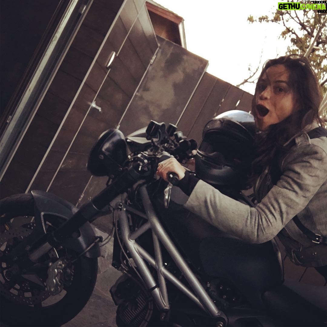 Michelle Rodriguez Instagram - Merry Christmas everybody wish you warmth & love for the New Year. Go Hard or Go Home !!!! 2017 coming up!!!!