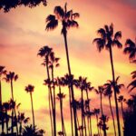 Michelle Rodriguez Instagram - Simple things like this view make me feel it's worth all the traffic and superficial brainless courtesy conversations in LA's social scene