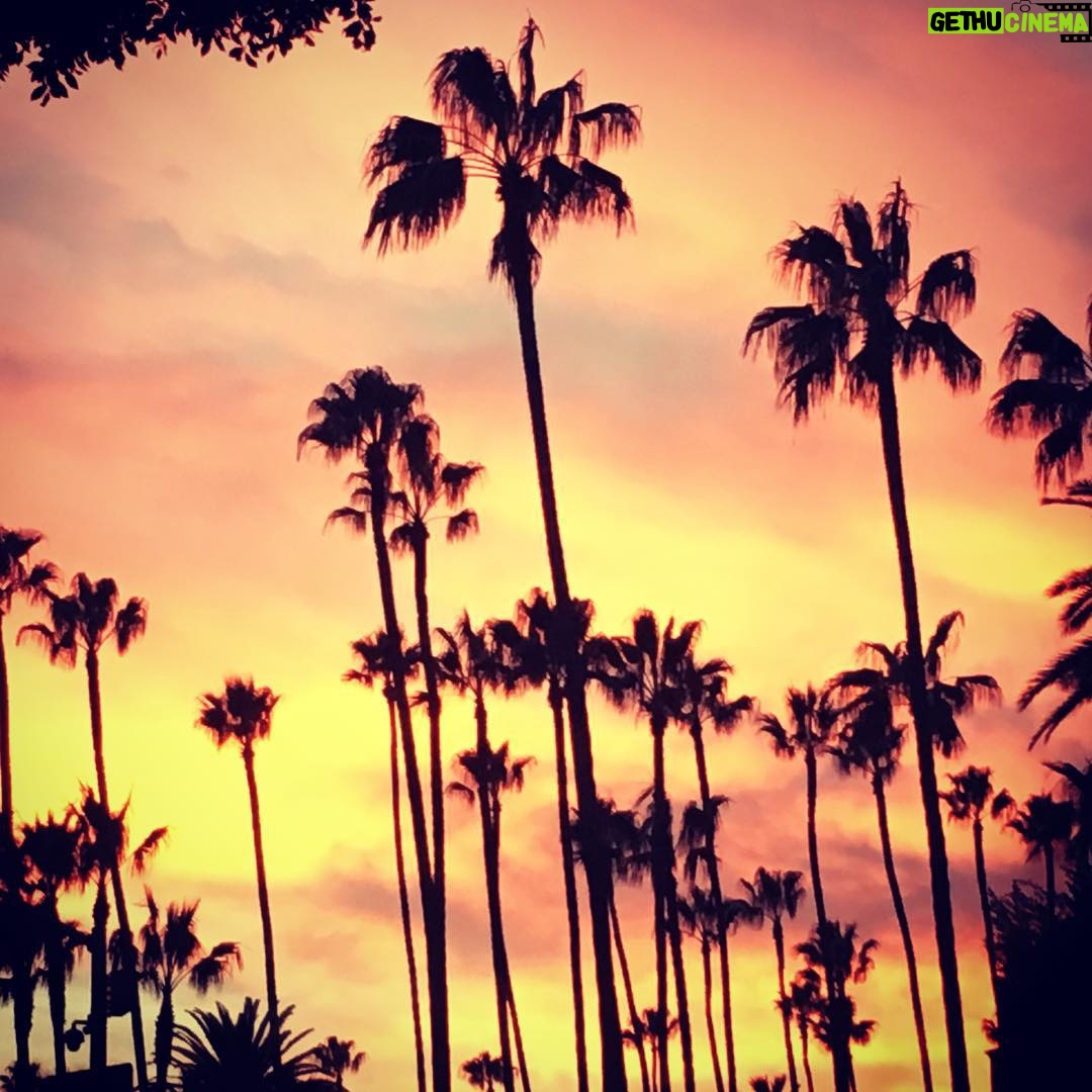 Michelle Rodriguez Instagram - Simple things like this view make me feel it's worth all the traffic and superficial brainless courtesy conversations in LA's social scene