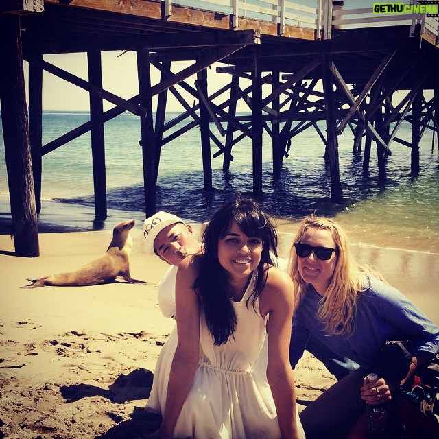 Michelle Rodriguez Instagram - We Photo Bombed a Seal... What a cutie so not scared of people...